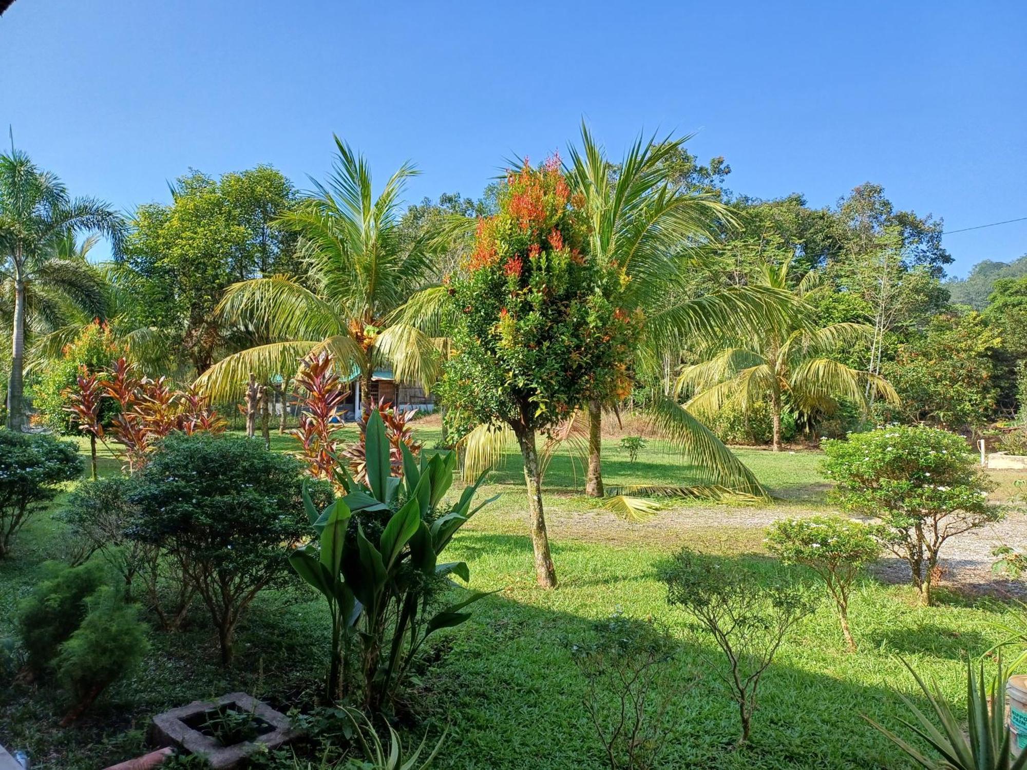 Lemuni Retreat & Training Centre - Kerling, Selangor Ξενοδοχείο Εξωτερικό φωτογραφία